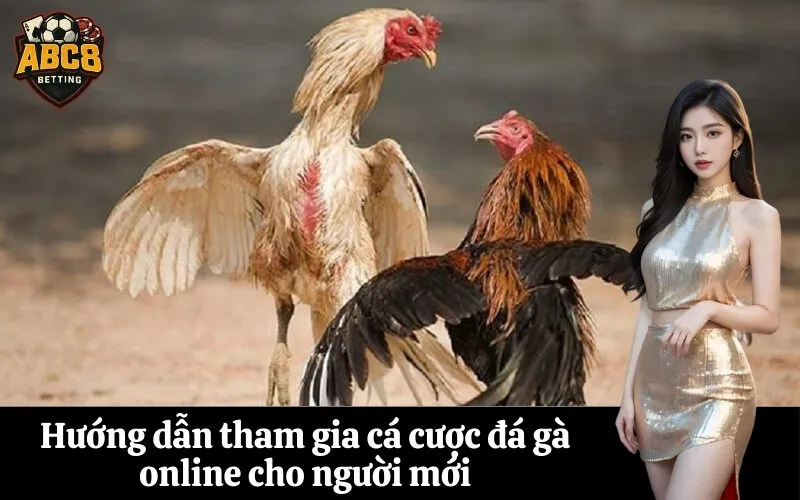Hướng dẫn tham gia cá cược đá gà online cho người mới