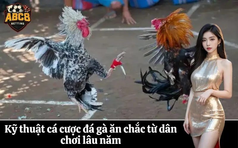 Kỹ thuật cá cược đá gà ăn chắc từ dân chơi lâu năm