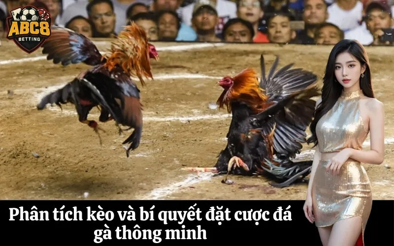 Phân tích kèo và bí quyết đặt cược đá gà thông minh
